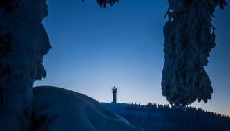 FEWO klein mit Garten - Foto 2