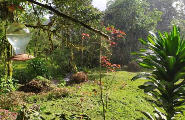 Mindo Eco chalet - Foto 25