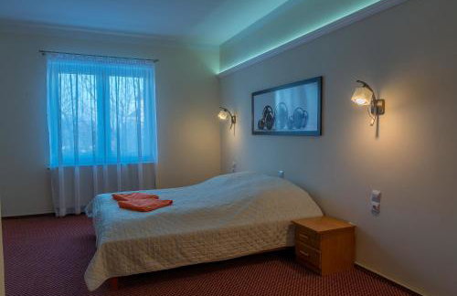 Willa Imperium - Foto 34