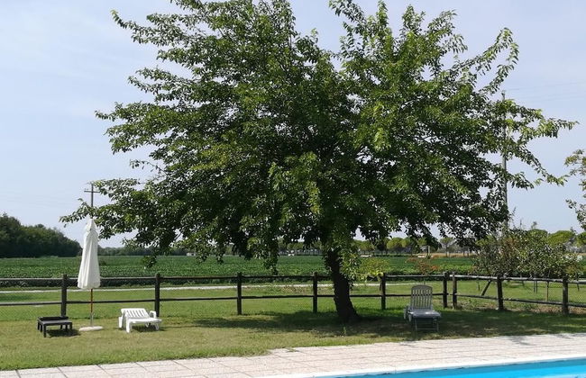 Agriturismo Ai Due Leoni - Foto 41