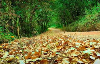 Fatima Villas - Foto 24