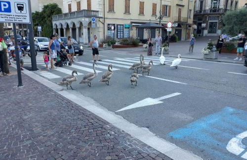 Casa Betty Lake View - Baveno - Foto 38