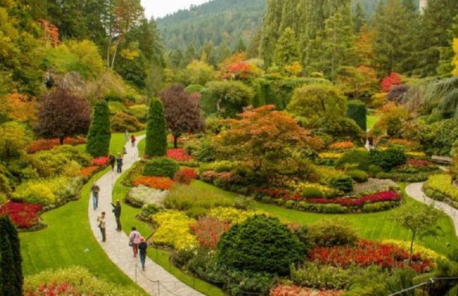 Victoria Zodiac Whale Watching - Croisière d'une demi-journée en petit groupe - Photo 6