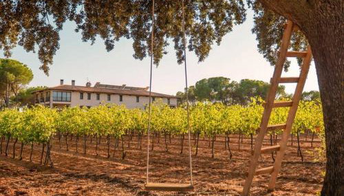 Casa Rural en Bodega. La posada de Vitis - Foto 3