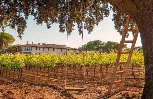 Casa Rural en Bodega. La posada de Vitis - Foto 3