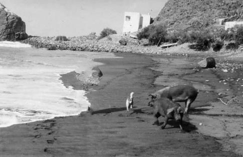 Ocean front La Maresia Holiday 2 Apartments - Foto 13