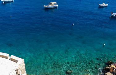 Porphyra Studio - Foto 25