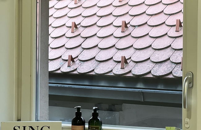 Vila Alice Bled - Adults only - Foto 54