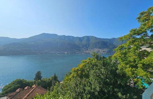 Botanic Garden Lake Como - Foto 51