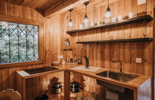 Koca Bistra - Velika planina - Foto 14