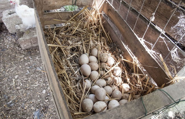 Agriturismo Kelle Terre - Foto 31