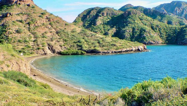 Navegaremos pelo Mar de Cortés em um barco privado