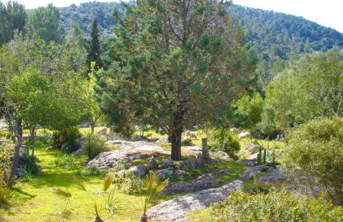 Can Company - Foto 40