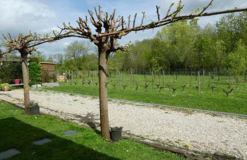 Gîte Les Platanes - Foto 24