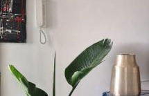 Garghe House - Photo 12