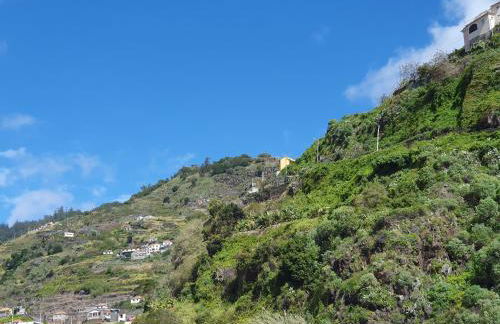 Casa do Moinho - TABUA - Photo 21