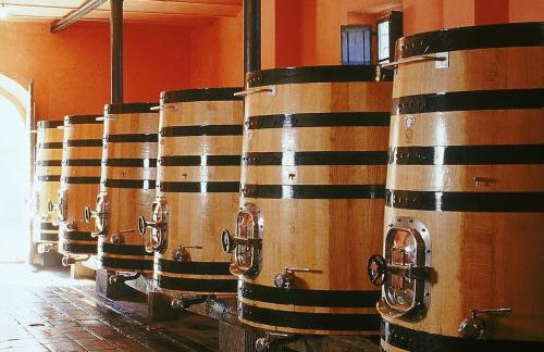 Castello Pomino - Foto 16