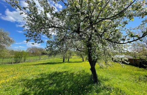 K&B Residence - Foto 49