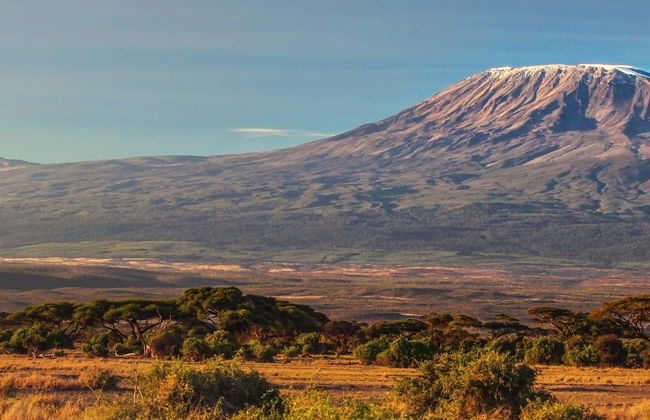 Day Trip to Mount Kilimanjaro - Foto 1