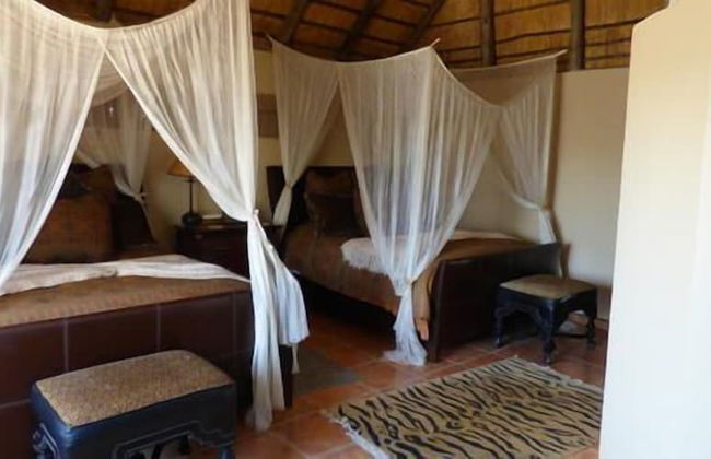 Babson House @ Cheetah Conservation Fund - Foto 6