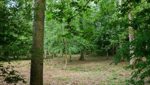 Tiny house near the Mont-Saint-Michel - Foto 2