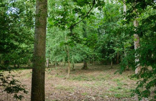 Tiny house near the Mont-Saint-Michel - Foto 2