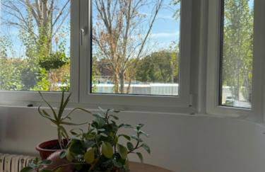 Piso céntrico, bonito, acogedor y luminoso - Foto 35