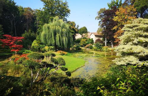 Le Domaine de Courances - Pierres d'Histoire - Foto 17