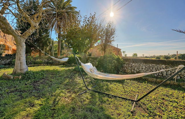 Finca Son Valls - Photo 29