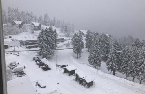 studio tout confort au pied des pistes du lioran - Foto 9