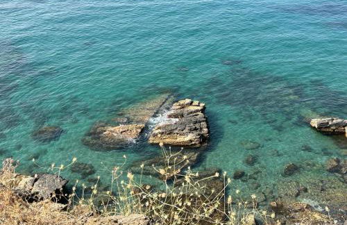 Don Juan, 99 - Photo 43