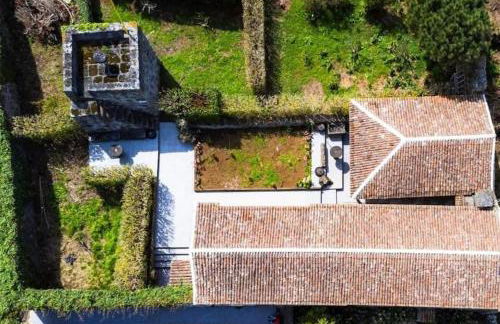 O Pomar do Gasparinho - Foto 17