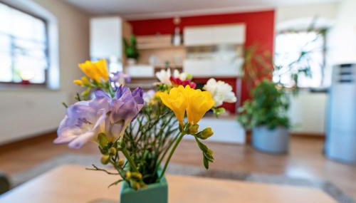 Pillnitzer Schlossblick - Foto 4