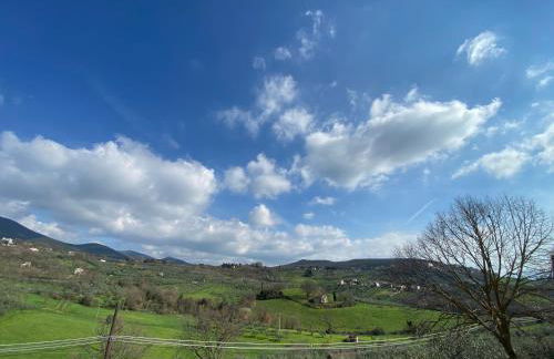 La Casa di Diana - Foto 14