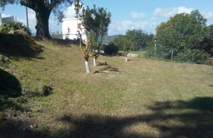 Aggeli Village House - Foto 4