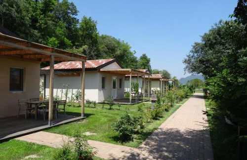 Agriturismo Alba - Photo 20