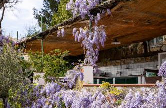 Il Nido a Portovenere - Foto 68