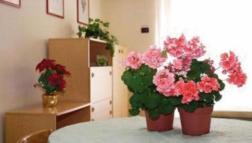 Residence Royal - Foto 3