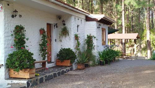 Floral garden house - Foto 2