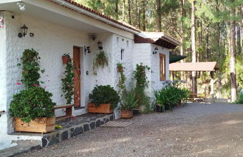 Floral garden house - Foto 2