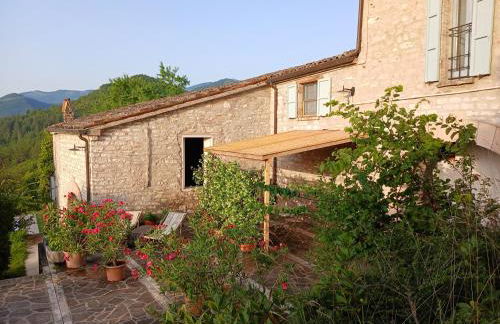 Agriturismo del Frontino - Lo Studio - Foto 10