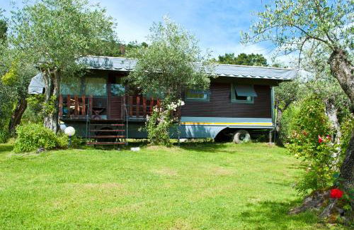 Azienda agricola Della Mezzaluna - Foto 15