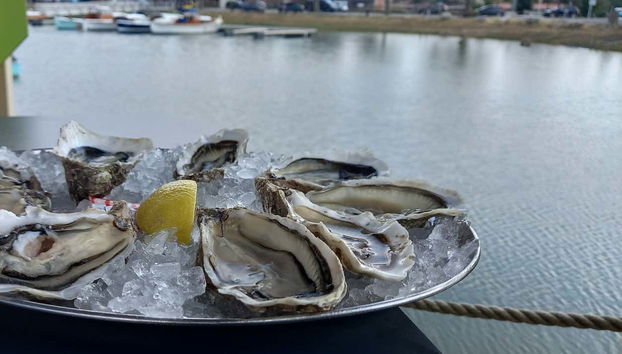 Vous dégusterez de délicieuses huîtres