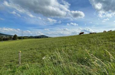 Przyszowa 441 - Photo 48