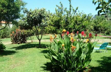 Stoupa's Paradise - Foto 54