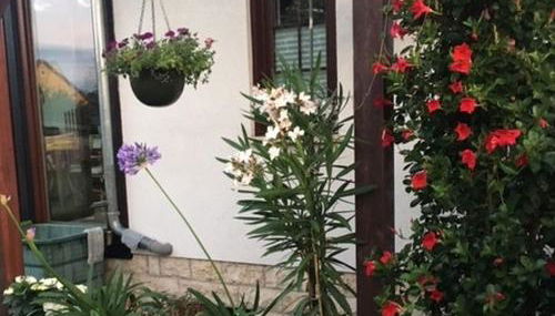 Ferienwohnung Am Park Weimar - Foto 3