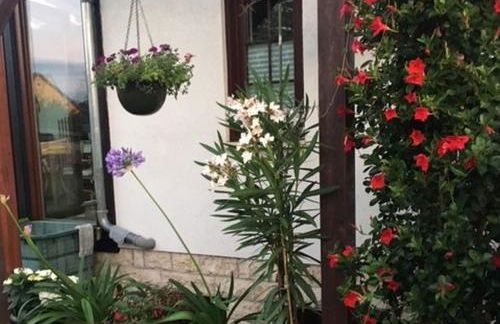 Ferienwohnung Am Park Weimar - Foto 3