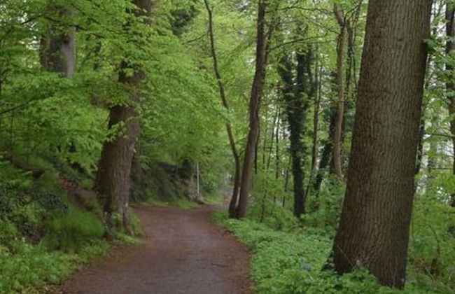 Flat in Eutin on the Kleiner Eutiner See Lake - Photo 54