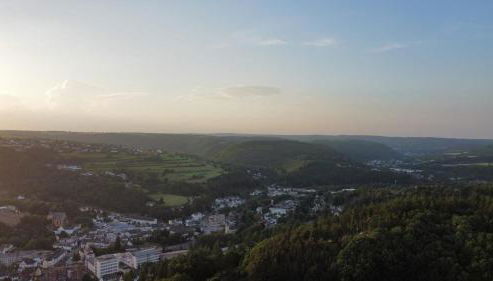 Waldoase im Nationalpark Eifel für 4 Personen und max 2 Hunde - Foto 3