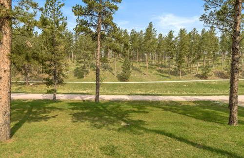 Elk Ridge Fire Place Custer - Foto 61